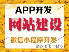 武漢小程序定制與網站建設推廣企業指南